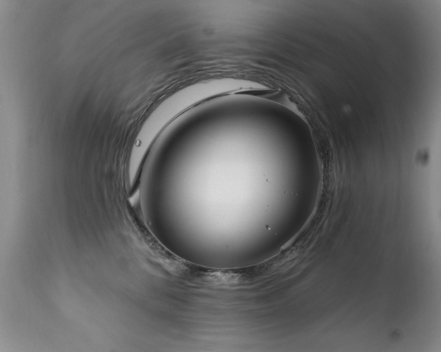 X0000111910328200907271228