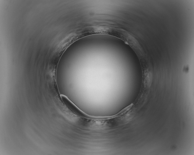 X0000111910329200907271228