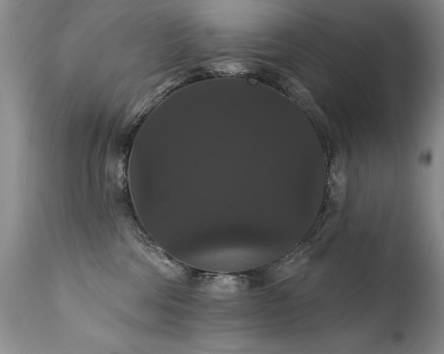 X0000111910330200907271228