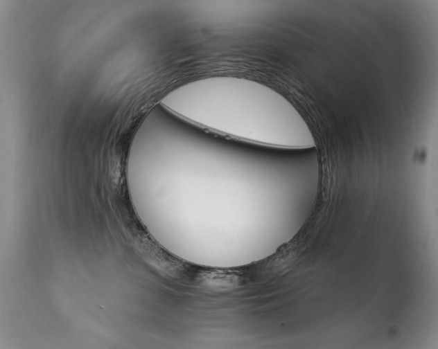 X0000111910331200907271228