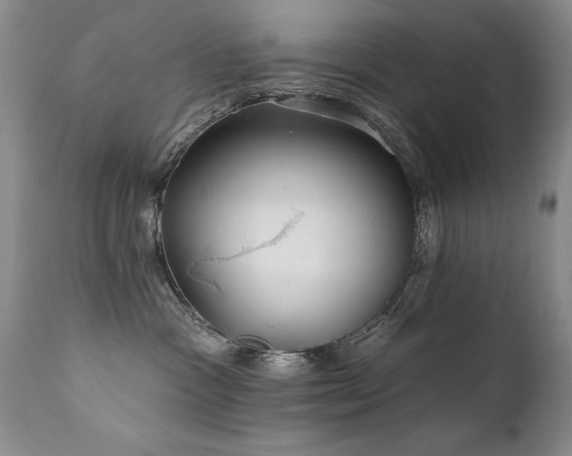 X0000111910333200907271228