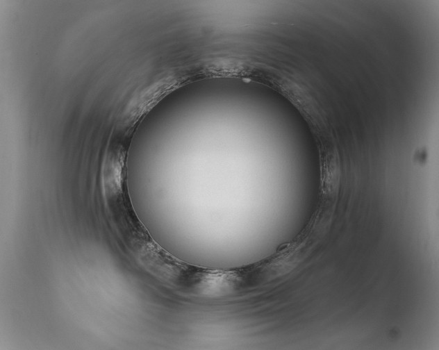 X0000111910334200907271228
