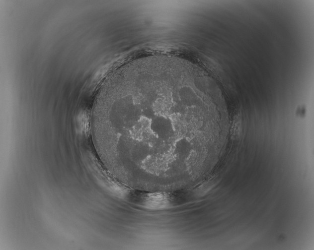 X0000111910335200907271228