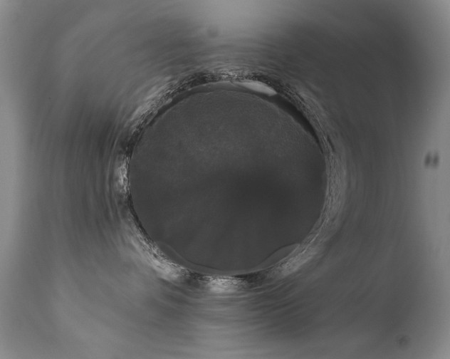 X0000111910336200907271228