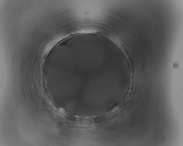 X0000111910337200907271227