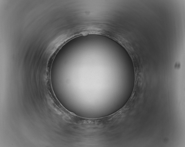X0000111910338200907271227