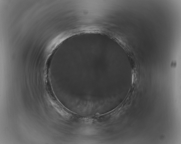 X0000111910339200907271227