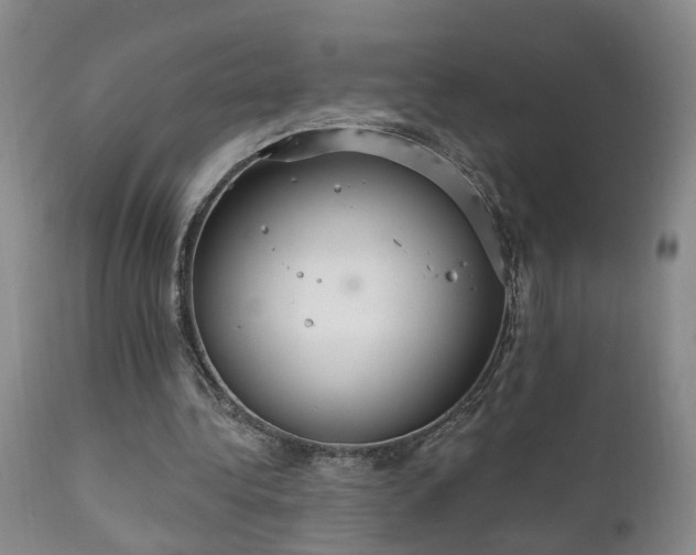 X0000111910340200907271227
