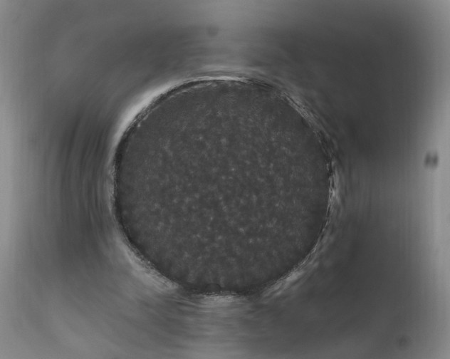 X0000111910342200907271227