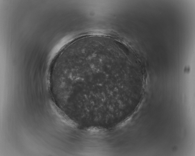 X0000111910343200907271227