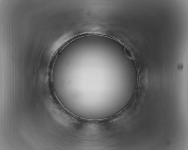 X0000111910344200907271227