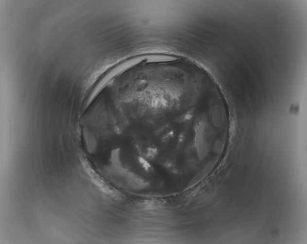 X0000111910345200907271227