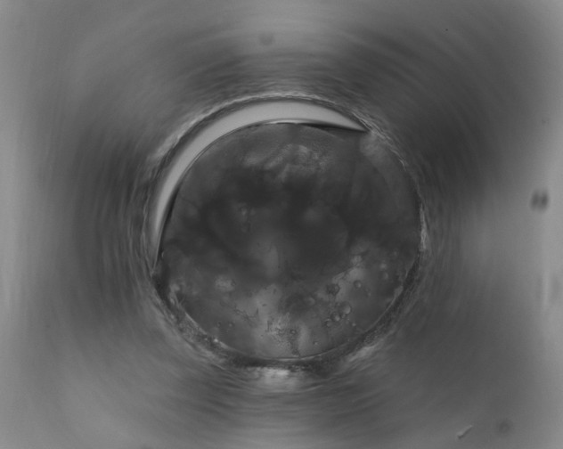 X0000111910347200907271227