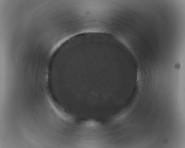 X0000111910348200907271227
