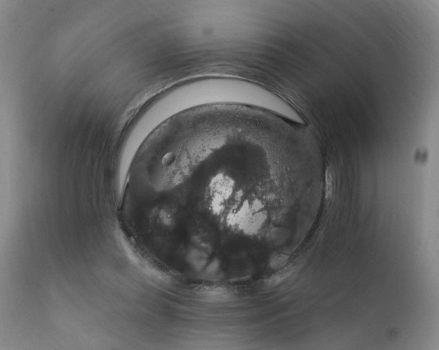 X0000111910349200907271227