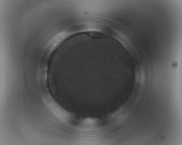 X0000111910350200907271227