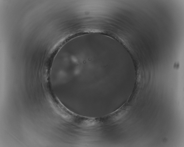 X0000111910351200907271227