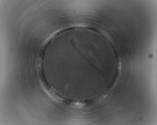 X0000111910352200907271227