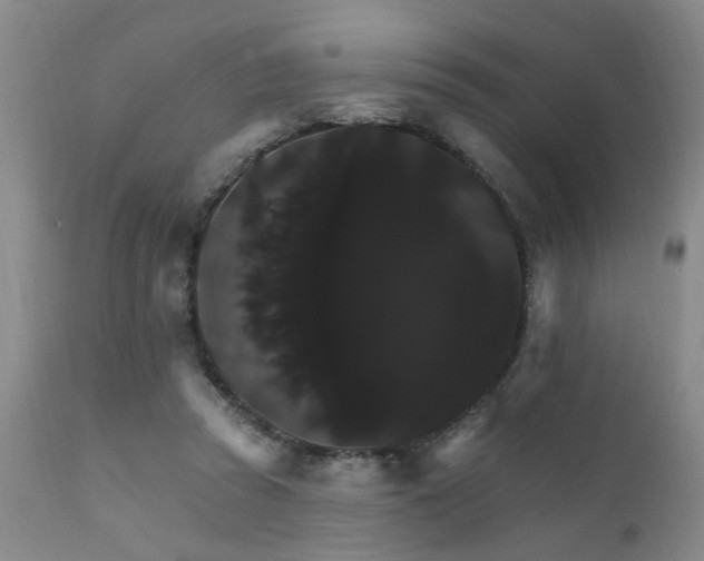 X0000111910353200907271227