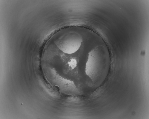 X0000111910354200907271227