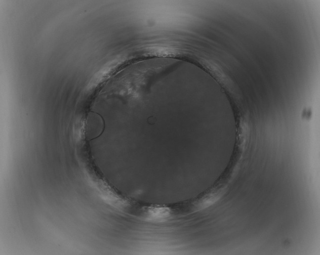 X0000111910355200907271227