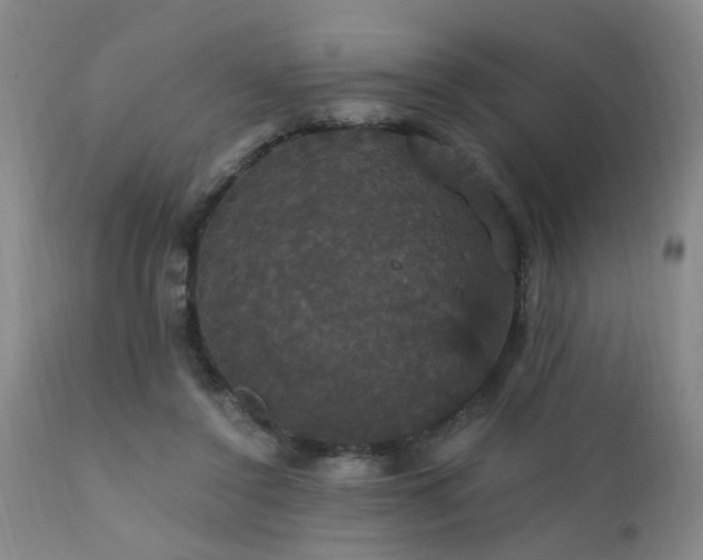 X0000111910356200907271227