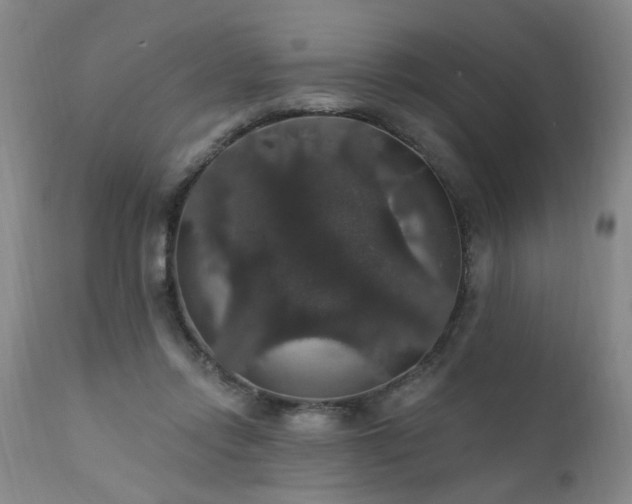 X0000111910358200907271227