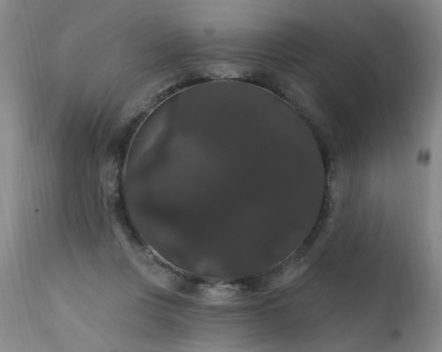 X0000111910359200907271227