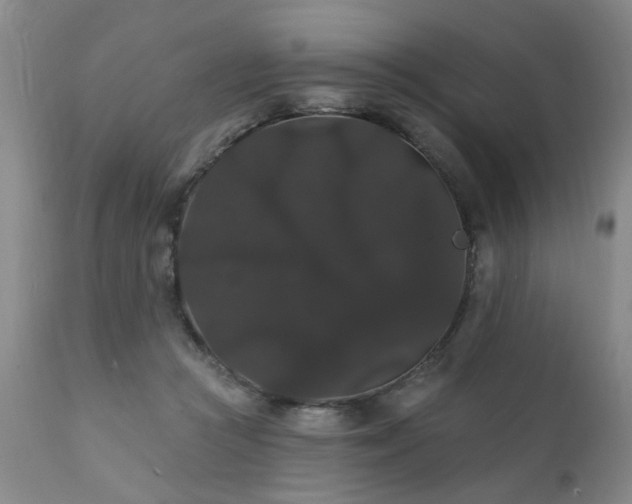 X0000111910361200907271227