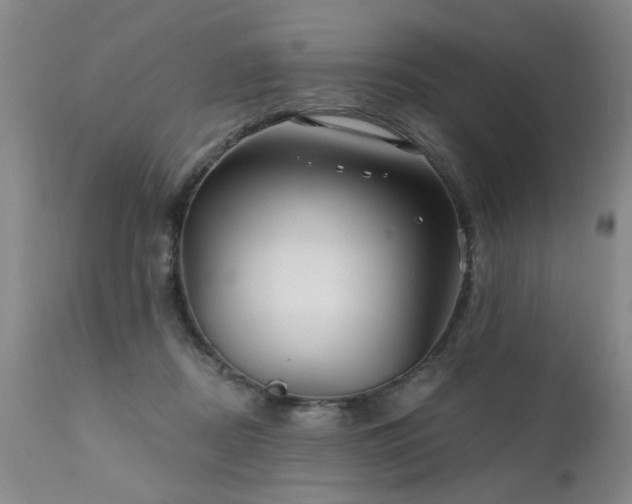 X0000111910362200907271227