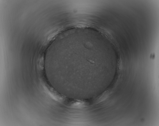 X0000111910364200907271227