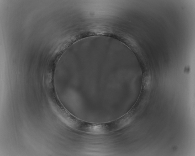 X0000111910365200907271227