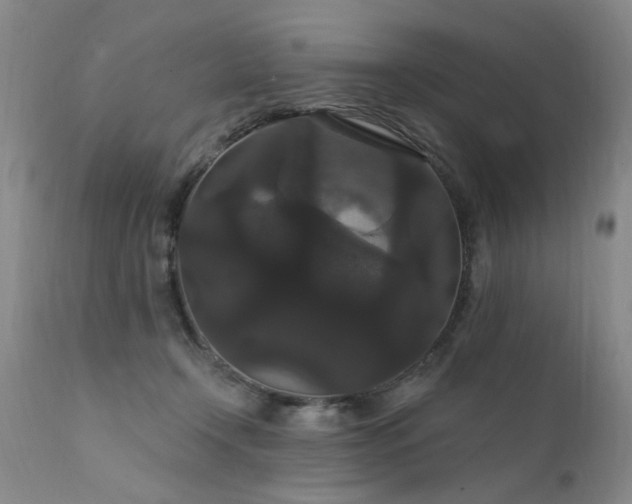 X0000111910366200907271227