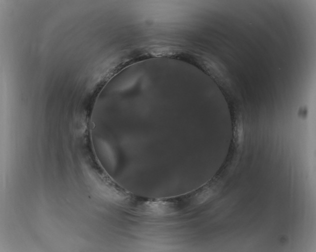 X0000111910367200907271227
