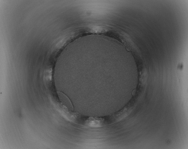 X0000111910368200907271227