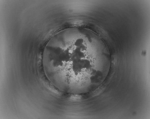 X0000111910369200907271227