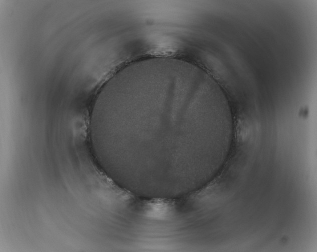 X0000111910370200907271227