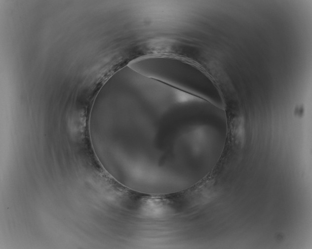 X0000111910372200907271227