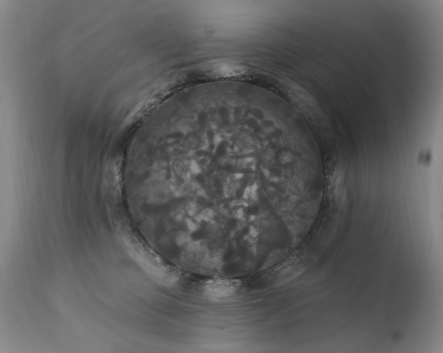 X0000111910373200907271227
