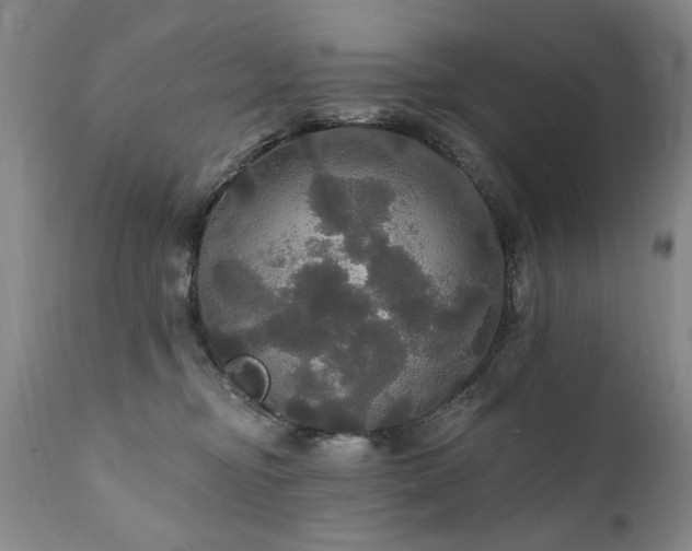 X0000111910374200907271227