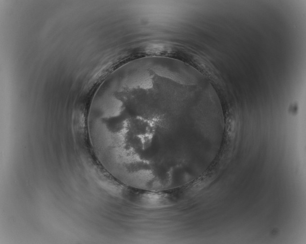X0000111910375200907271227