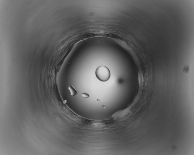 X0000111910376200907271227
