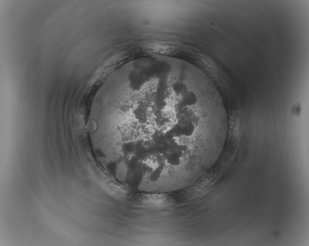 X0000111910377200907271227