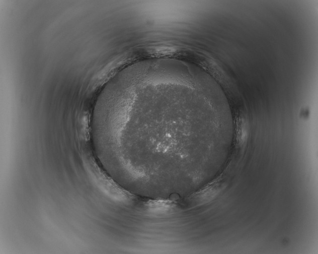 X0000111910378200907271227