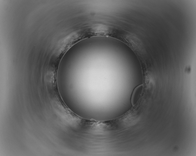 X0000111910379200907271227