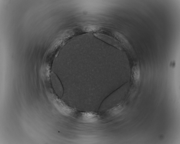 X0000111910380200907271227