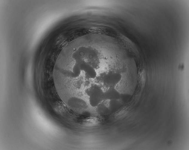 X0000111910381200907271227