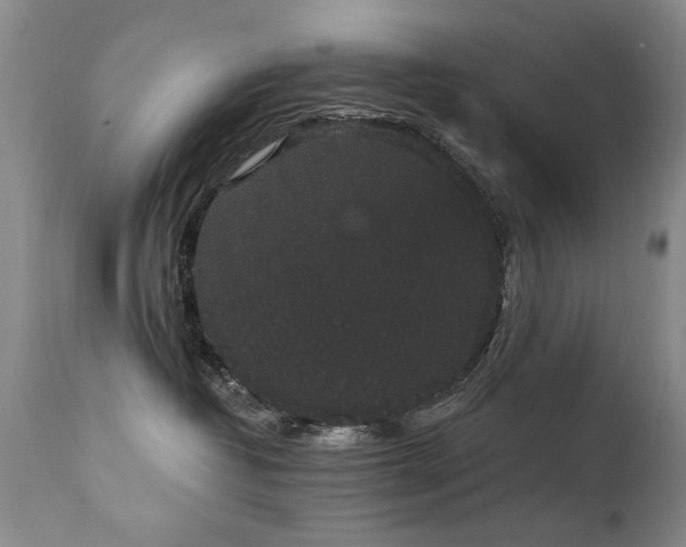 X0000111910382200907271227