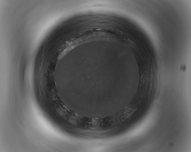 X0000111910383200907271227