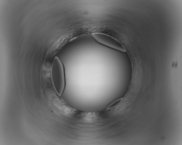 X0000111910384200907271227